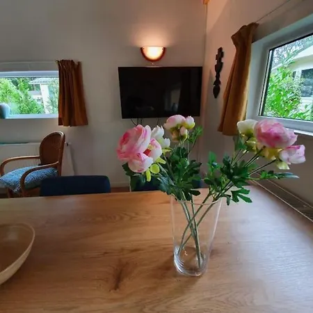 Comfortabele Houten Bij De Veluwe *